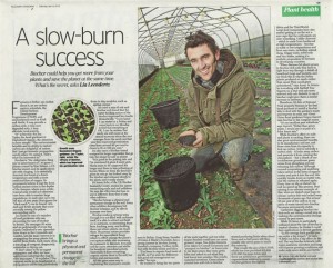 Telegraph Gardening article about biochar