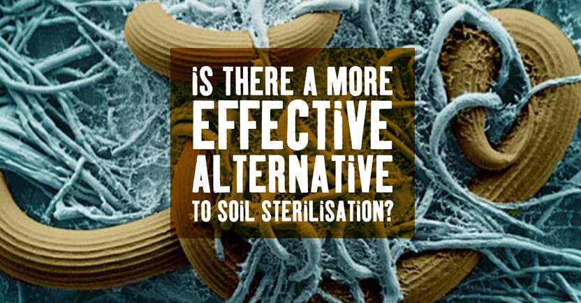 An effective alternative to soil sterilisation