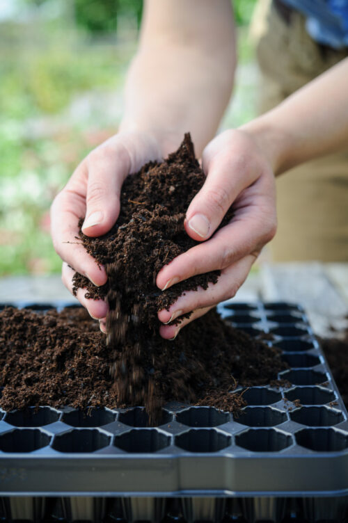 Coir Compost UK's No.1 supplier Carbon Gold