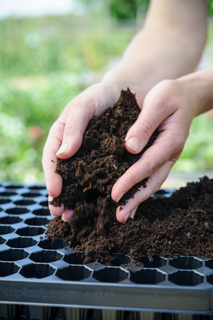 Biochar 100% Peat Free Seed Compost, Soil Association Approved Biochar ,organic soil improvement, nature based solution, improving soil naturally