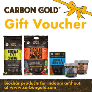 CG-gift-voucher-bow-square-300x300
