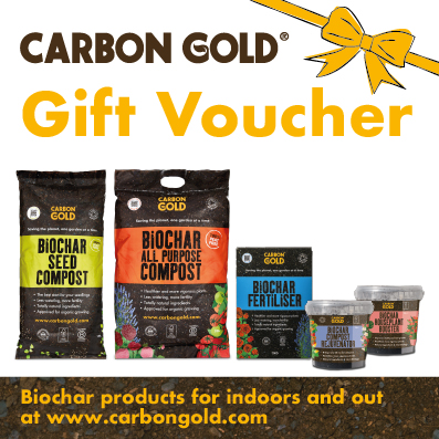 CG-gift-voucher-bow-square
