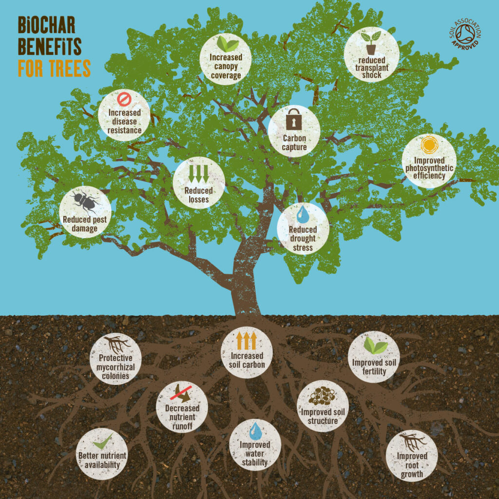 Tree-infographic-for-web-1024x1024