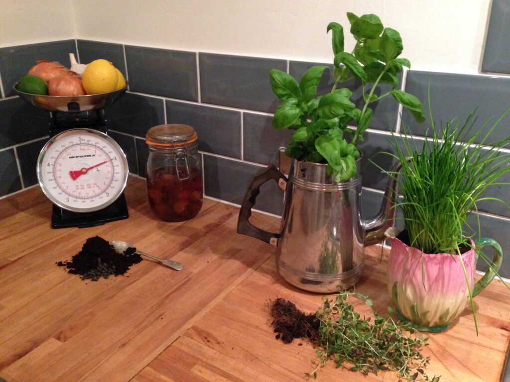 Growing-herbs-in-kitchen-1024x768