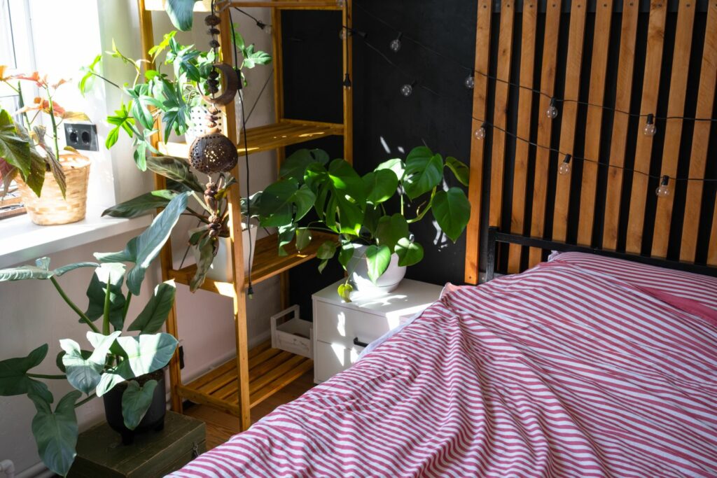 Plants-in-bedroom-1024x683