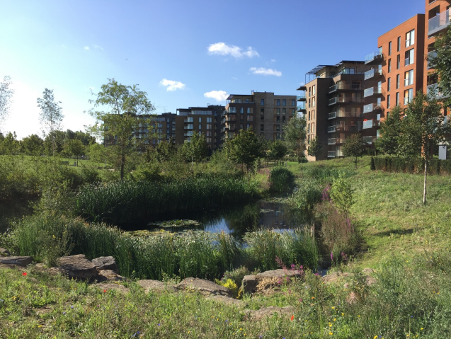 Screenshot-2024-10-14-185448